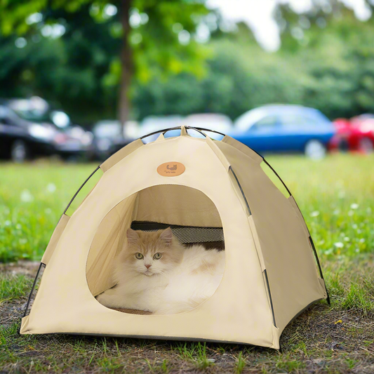 Cat Tent