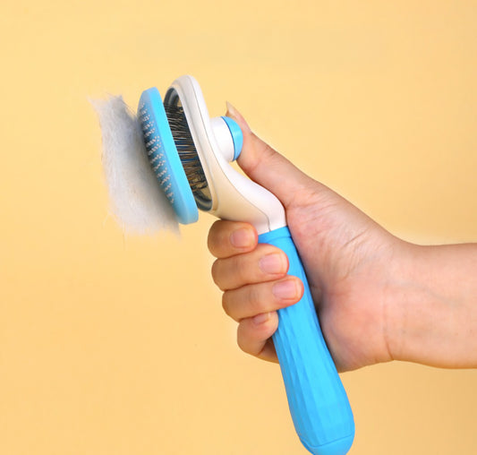 Self Cleaning Pet Brush
